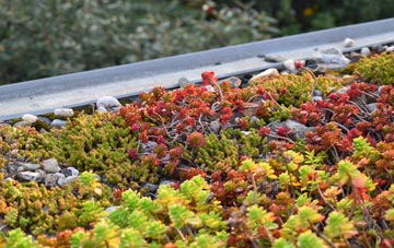 the cost of Sunningdale green roof installation